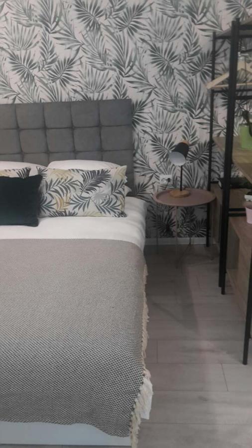 The Cozy Studio, Varna City Centre מראה חיצוני תמונה